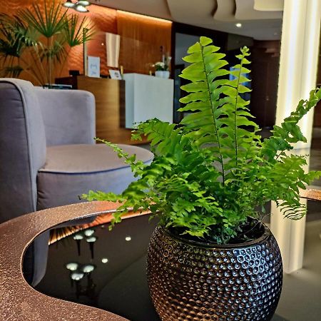 Bazuny Hotel&Spa コシチェジナ エクステリア 写真